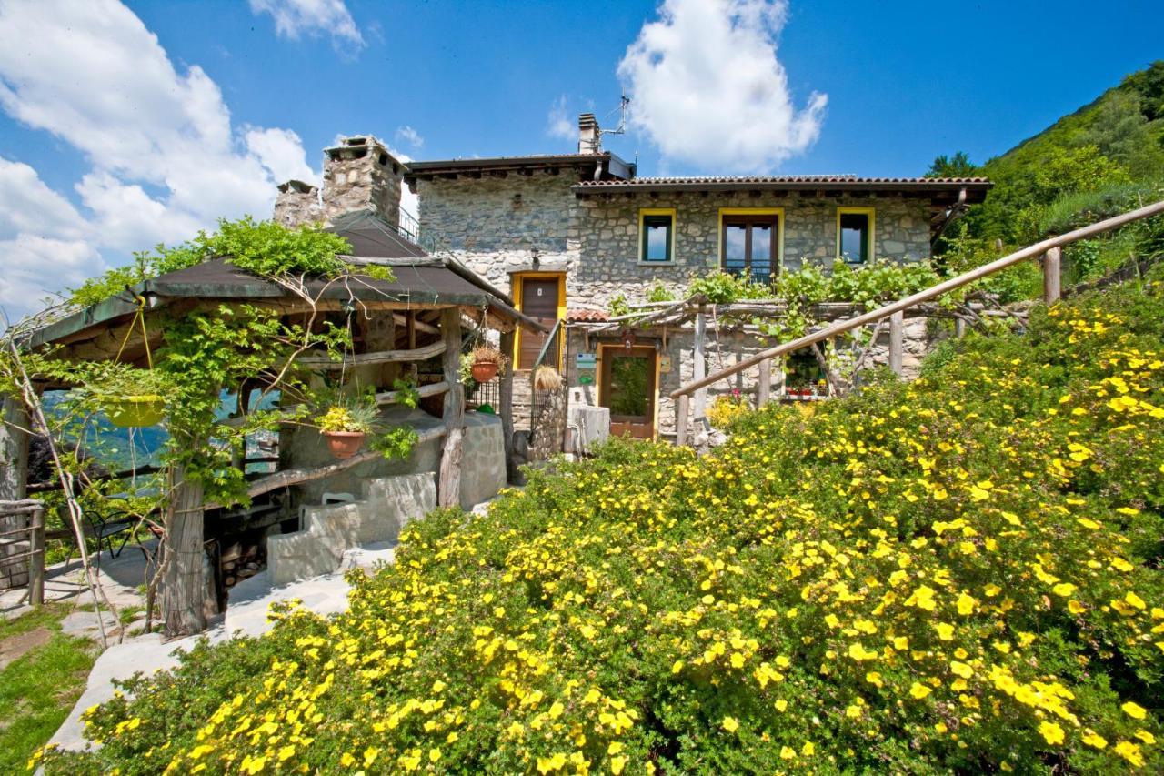 Agriturismo Al Marnich Скиньяно Экстерьер фото